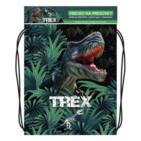 Torba za čevlje s potiskom - Serija 6 - T-Rex